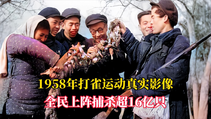 2025香港管家婆正版资料,与女友同居31年 女友离世男方被赶,前瞻性战略落实探讨_iosV12.7