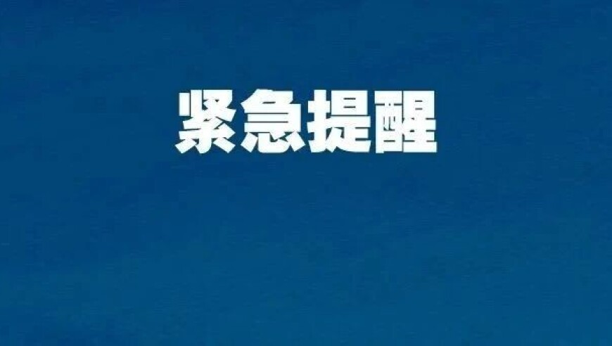 澳门—肖一码期期准,请全成都人民监督我减肥,作答解释落实的民间信仰_游戏版V2.71